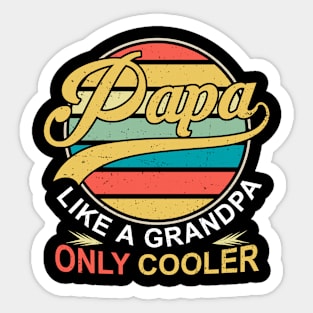 PAPA like a Grandpa ONLY COOLER Funny Dad Papa Definition Sticker